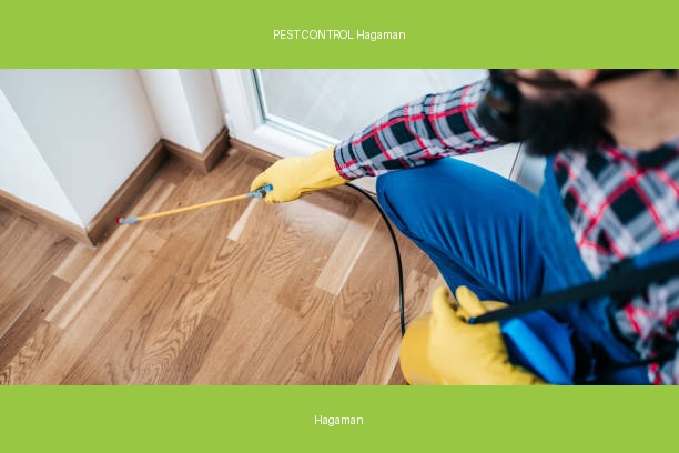 PEST CONTROL Hagaman